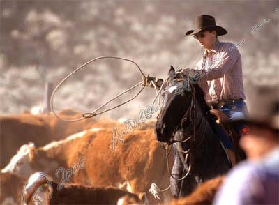 Cow calf ranch. WY