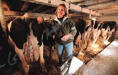 AI breeder, MI