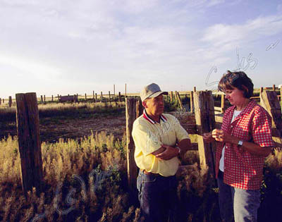Feedlot owners, TX