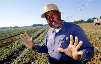 Sweet potato growers, LA