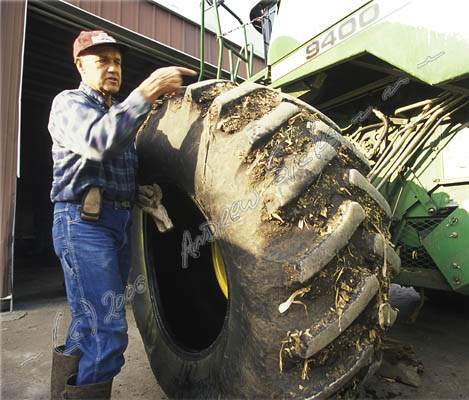 Iowa hog farm