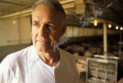 Iowa hog farm