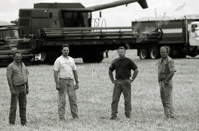 Harvest crew, MN