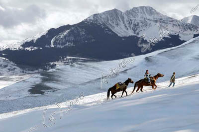 Pack trip, Wyoming