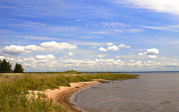 Lake Michigan Shore